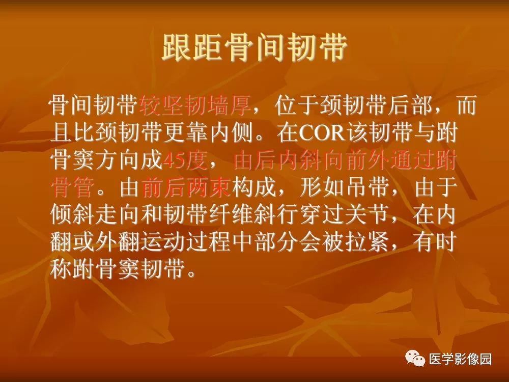 【PPT】踝关节韧带的解剖及影像表现