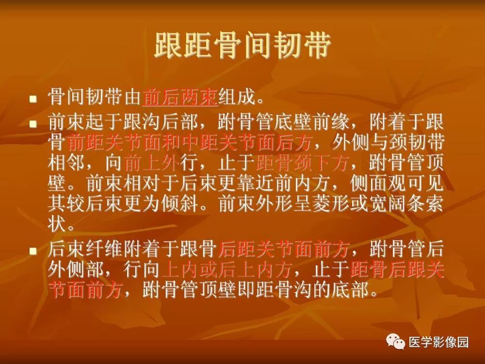 【PPT】踝关节韧带的解剖及影像表现