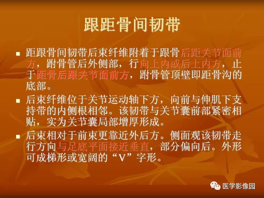 【PPT】踝关节韧带的解剖及影像表现