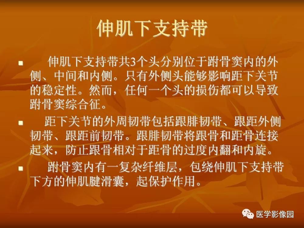 【PPT】踝关节韧带的解剖及影像表现