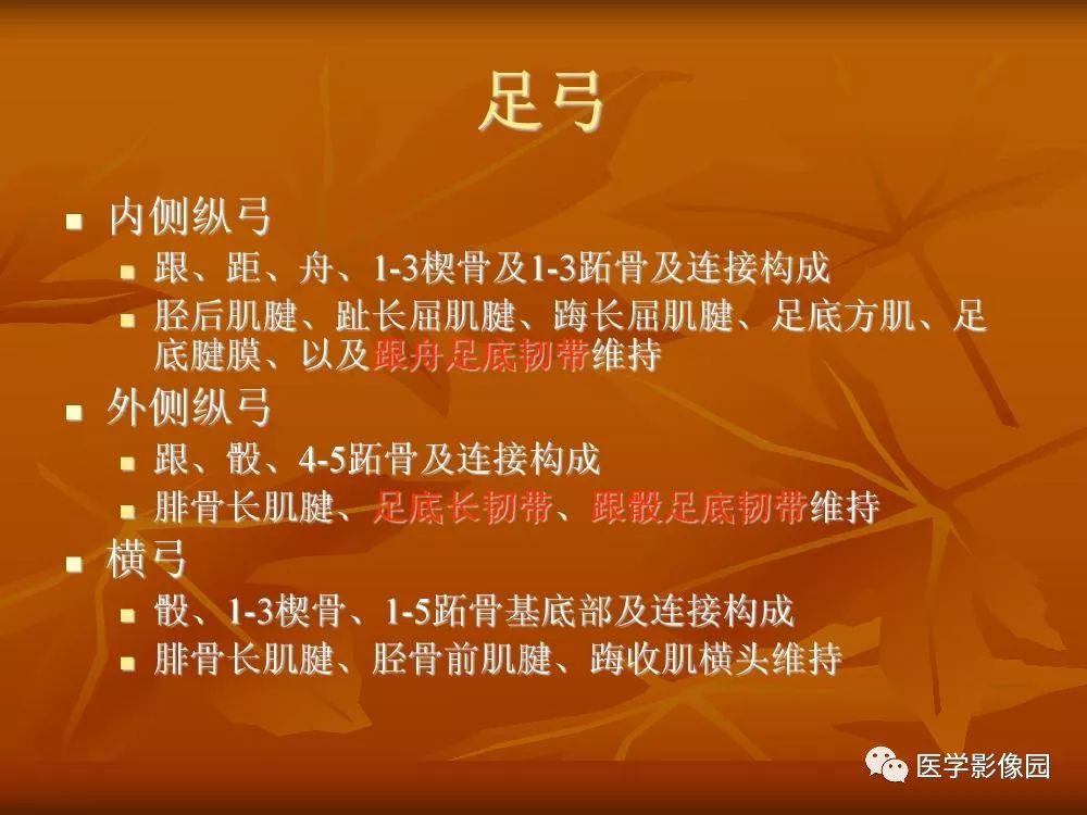 【PPT】踝关节韧带的解剖及影像表现