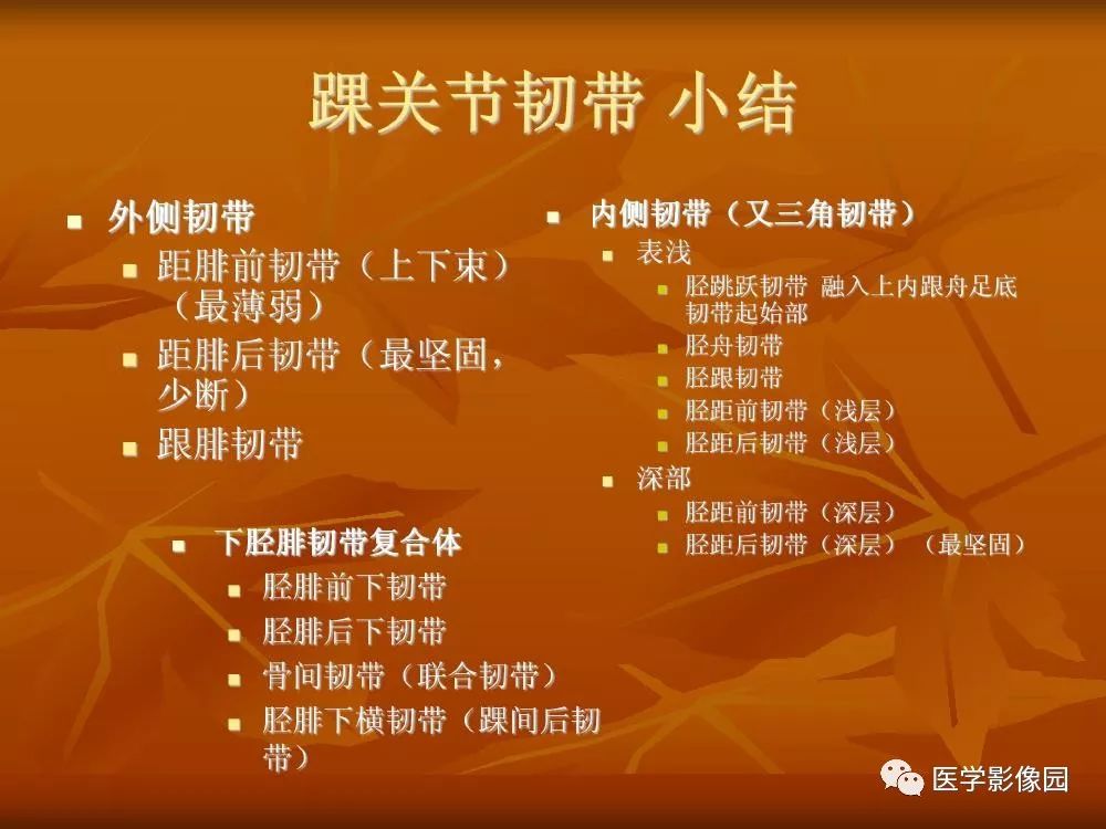 【PPT】踝关节韧带的解剖及影像表现