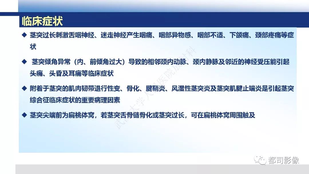 【PPT】茎突综合征影像诊断