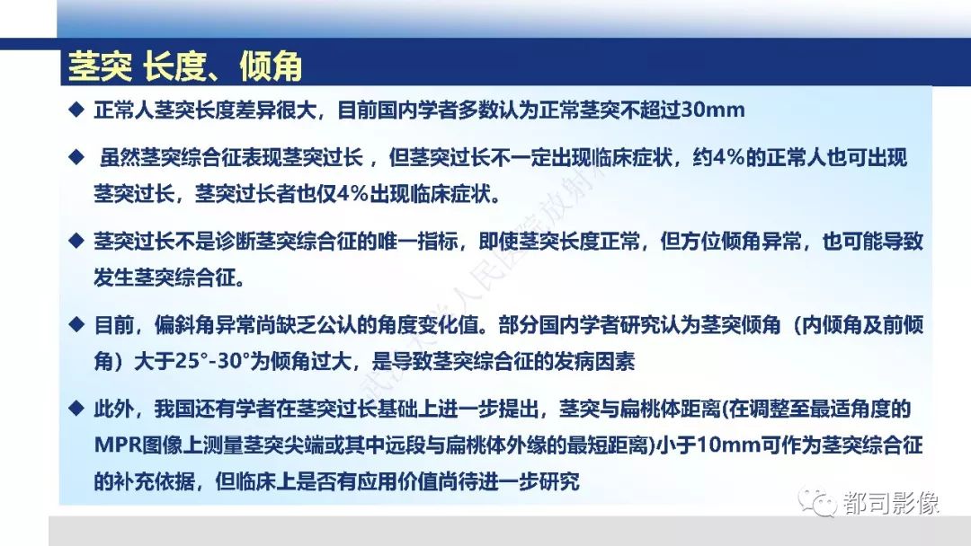 【PPT】茎突综合征影像诊断