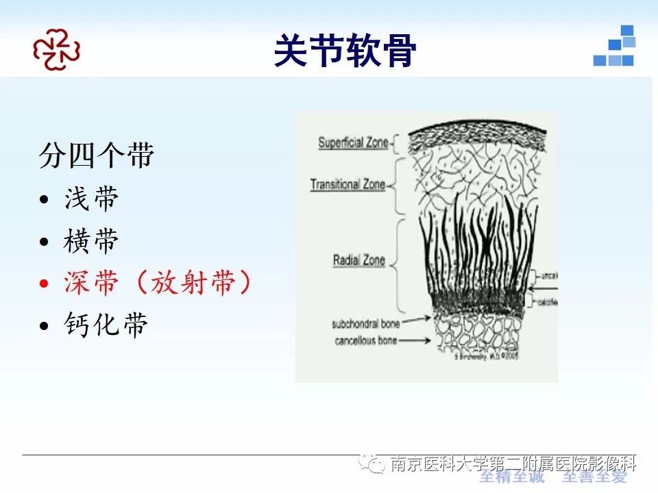 【PPT】膝关节运动损伤的MR表现
