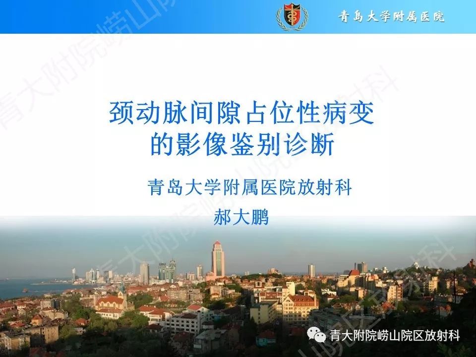 【PPT】颈动脉间隙占位性病变的影像鉴别诊断
