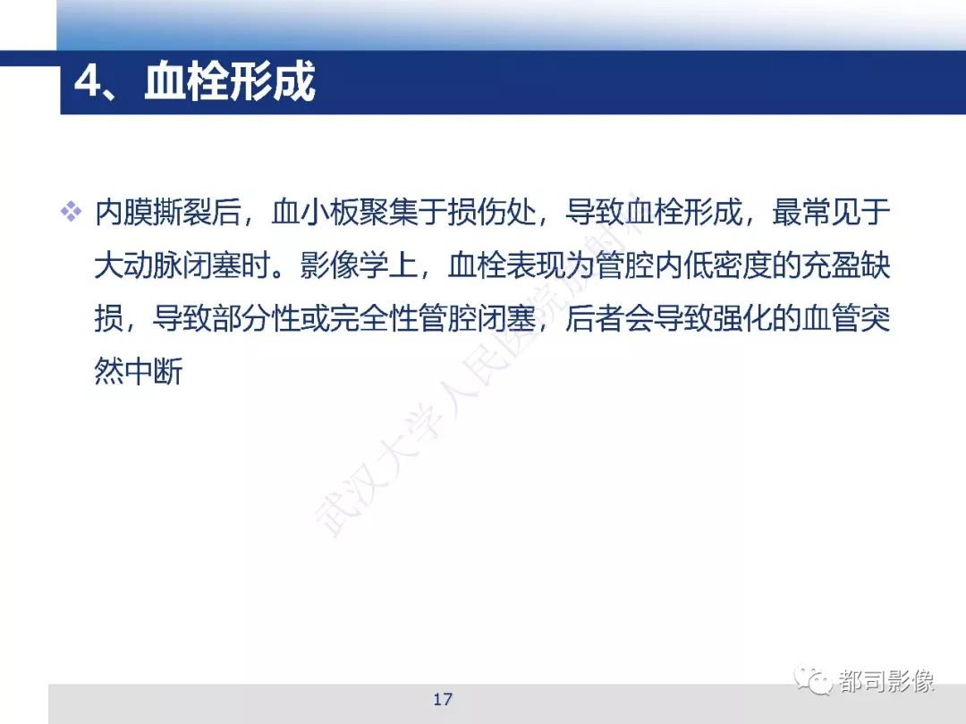 【PPT】腹盆腔血管钝性创伤CT表现
