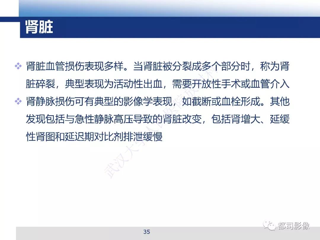 【PPT】腹盆腔血管钝性创伤CT表现