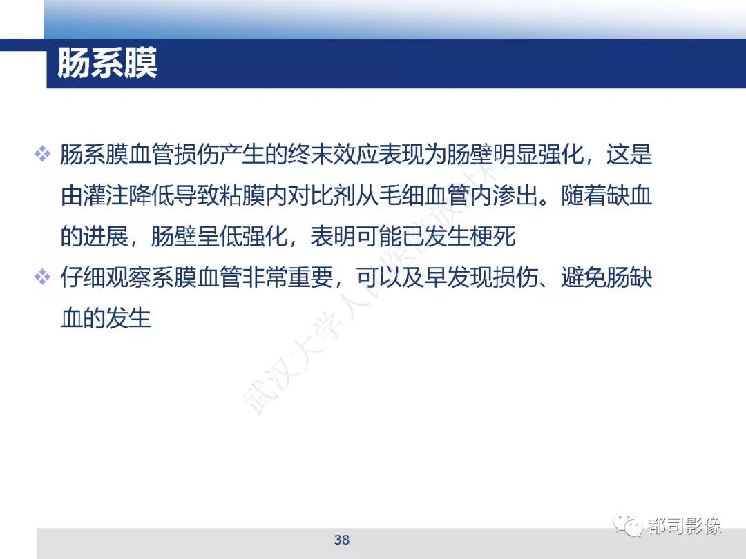 【PPT】腹盆腔血管钝性创伤CT表现