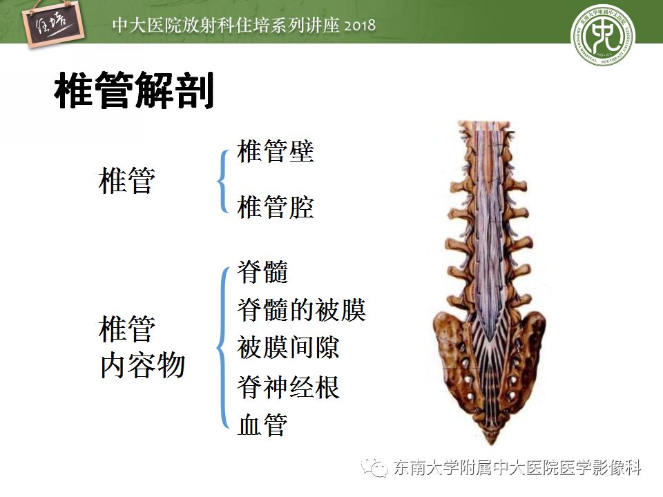 【PPT】脊髓内常见疾病的MR诊断