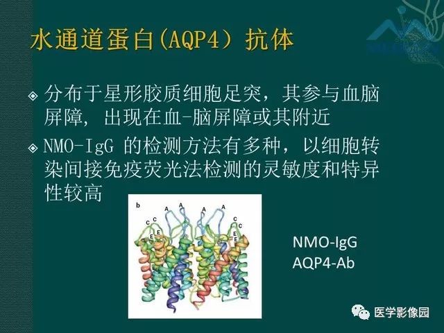 【PPT】脊髓急性炎性病变的影像诊断与鉴别诊断