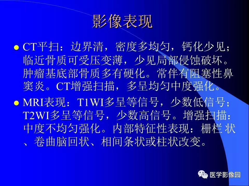 【病例】鼻腔内翻型乳头状瘤1例CT及MR影像诊断