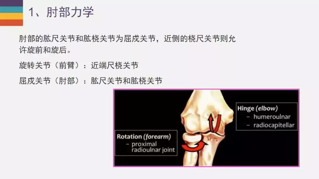 【PPT】肘关节常见病变MR诊断