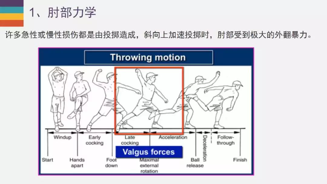 【PPT】肘关节常见病变MR诊断