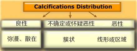 怎样从形态和分布鉴别乳腺钙化性质? 怎样从形态和分布鉴别乳腺钙化性质?