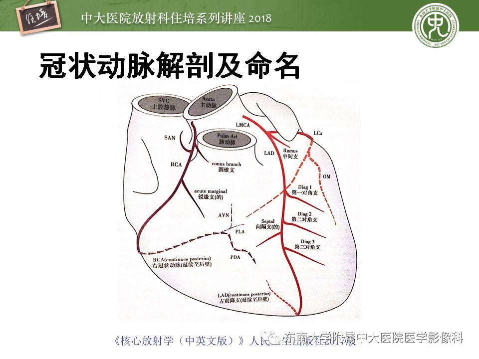 【PPT】冠脉CTA阅片要点及标准化报告