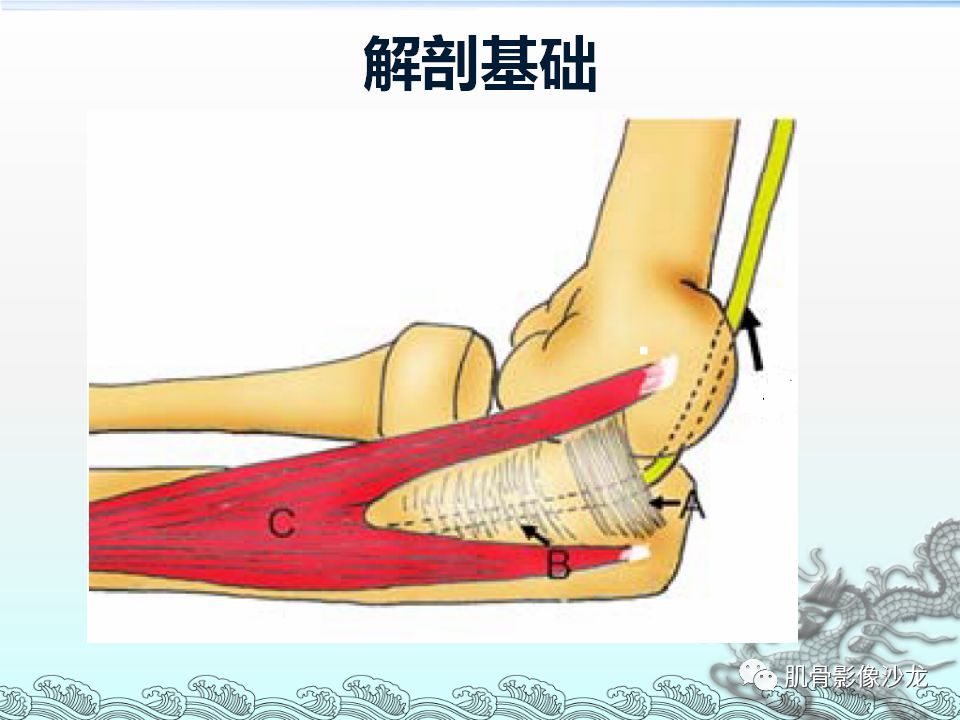 【PPT】肘管的磁共振应用研究