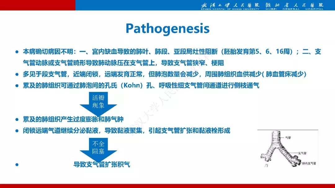 【PPT】先天性支气管闭锁影像诊断