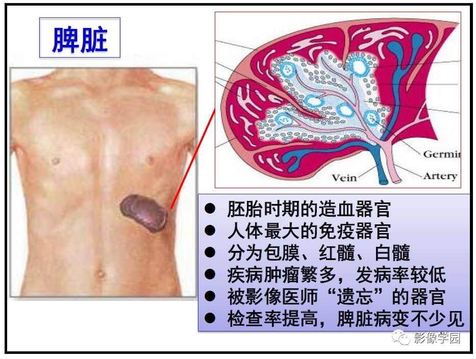 【PPT】