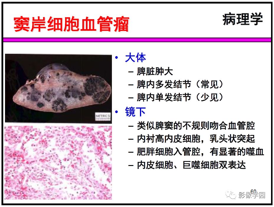 【PPT】