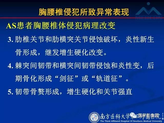 【PPT】系统性疾病脊椎侵犯病理学改变和影像学诊断