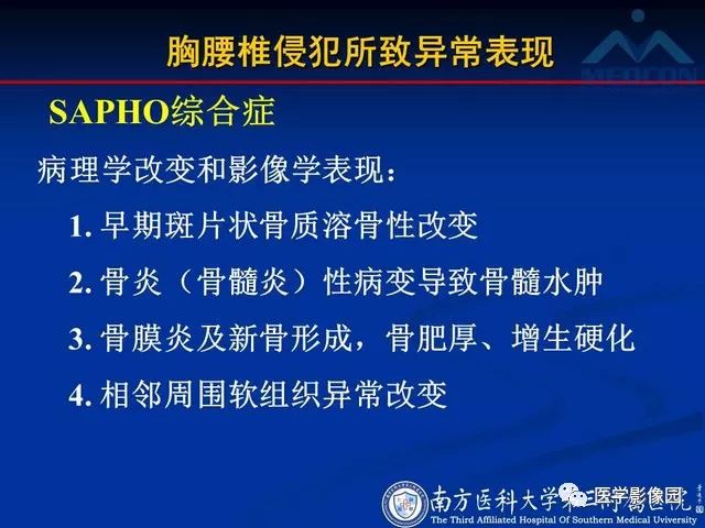 【PPT】系统性疾病脊椎侵犯病理学改变和影像学诊断
