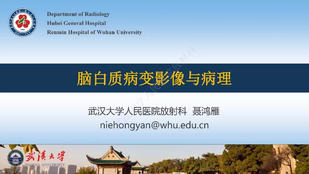 【PPT】脑白质病变影像与病理