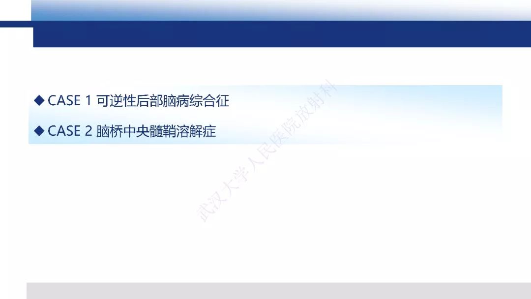 【PPT】脑白质病变影像与病理