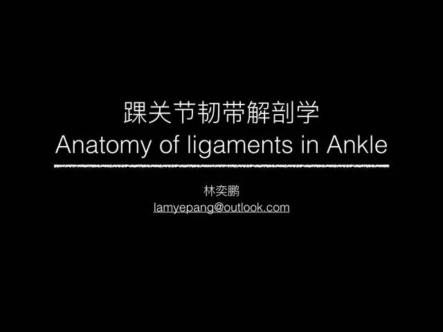 【PPT】踝关节韧带解剖学
