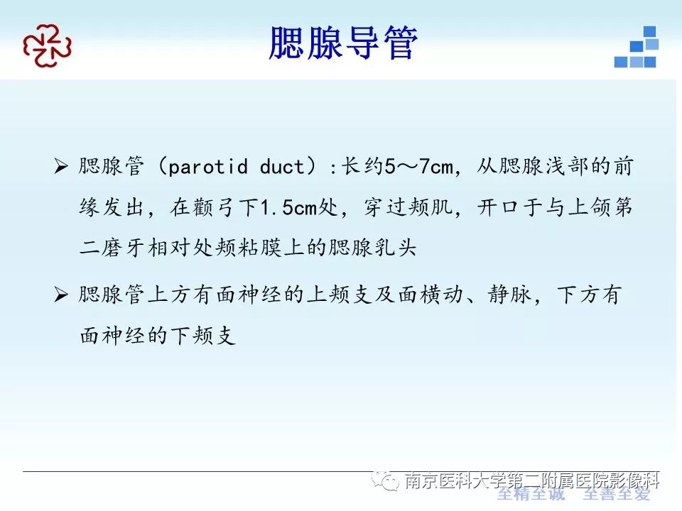 【PPT】腮腺腺淋巴瘤的影像学表现