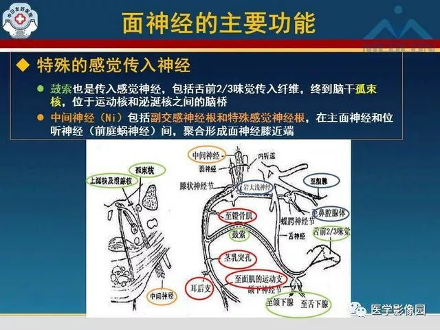 【PPT】面神经病变的影像