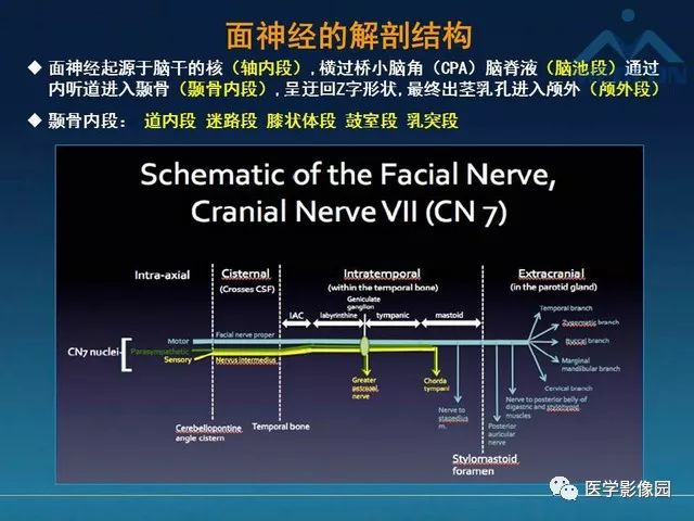 【PPT】面神经病变的影像