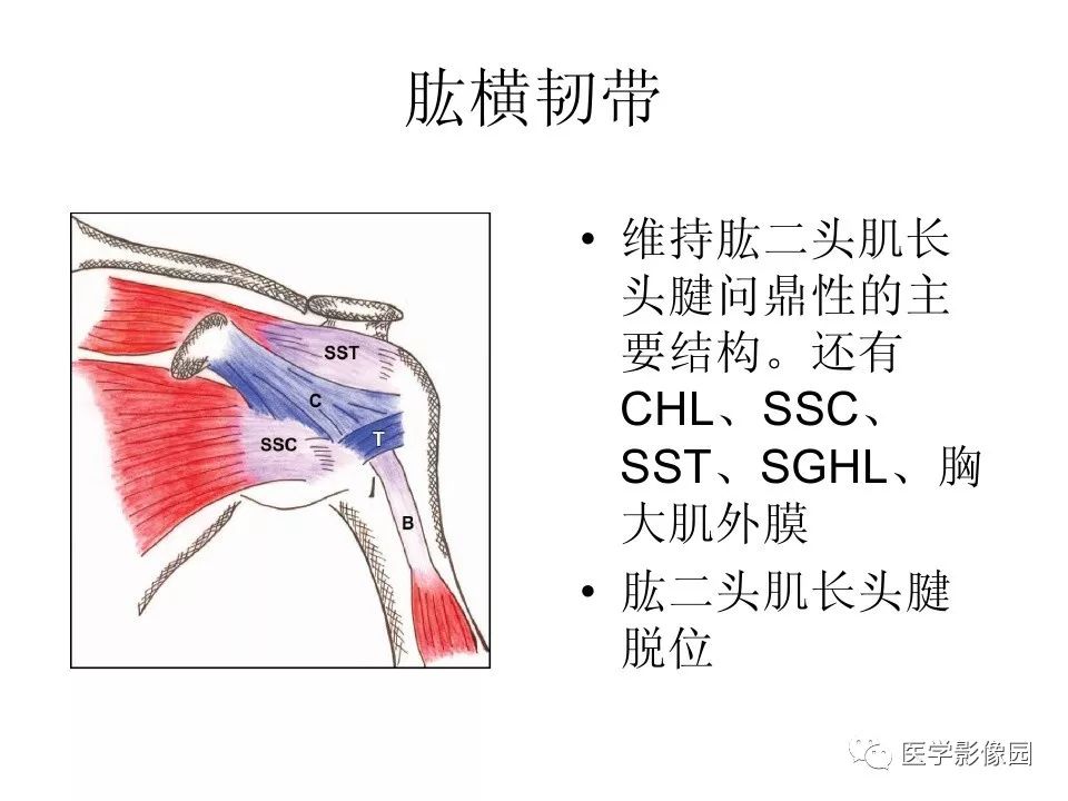 【PPT】肩关节韧带及损伤MR表现