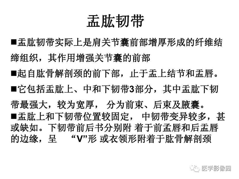 【PPT】肩关节韧带及损伤MR表现