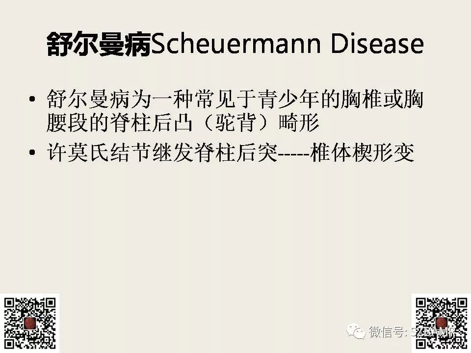 【PPT】巴斯特鲁普病+舒尔曼病