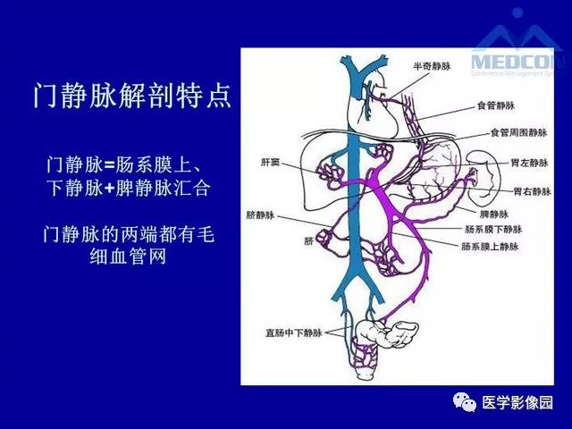【PPT】门静脉高压分型及影像学特征