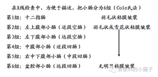 正常小肠影像解剖与分组