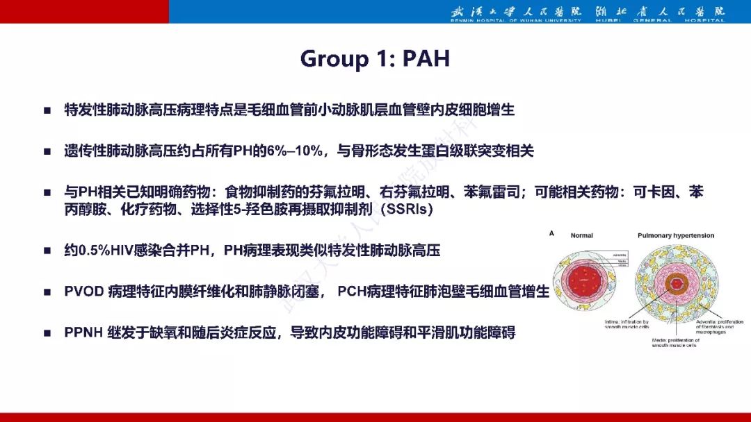 【PPT】肺动脉高压临床分类及CT表现