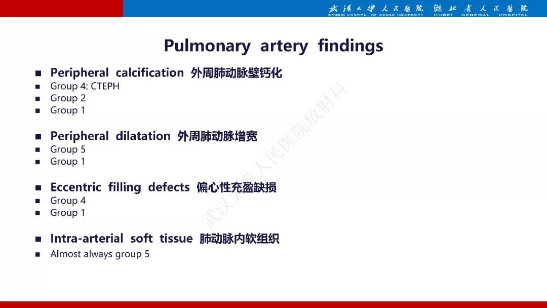 【PPT】肺动脉高压临床分类及CT表现