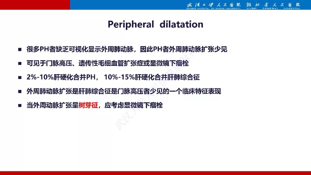 【PPT】肺动脉高压临床分类及CT表现