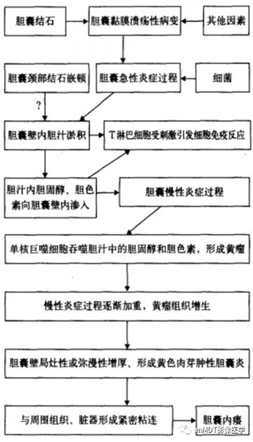 【PPT】黄色肉芽肿性胆囊炎