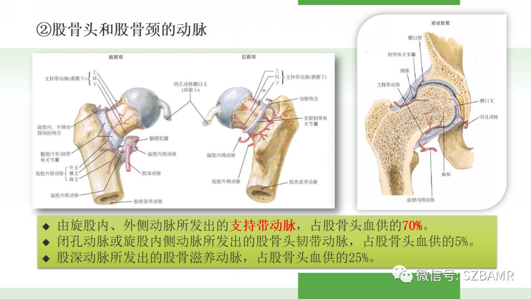 【PPT】股骨头缺血性坏死及类似髋关节疾病的影像诊断与鉴别