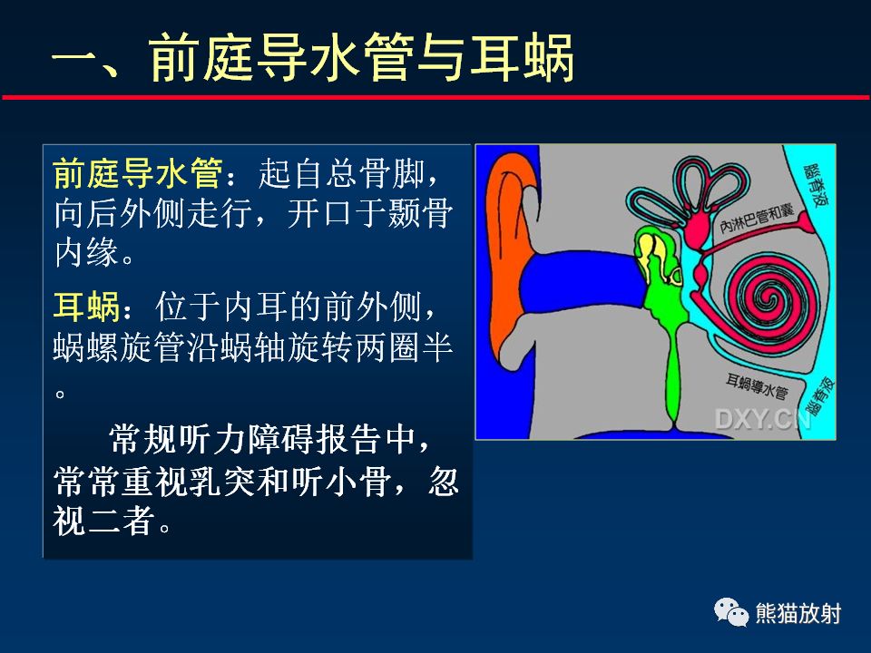 【PPT】颅底重要CT解剖及其临床意义