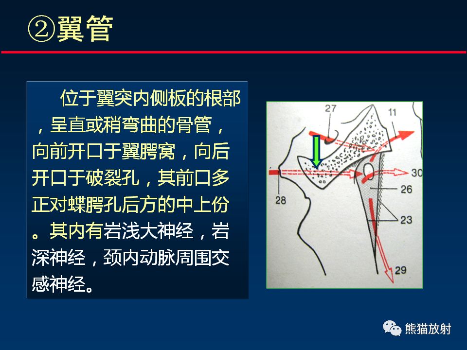 【PPT】颅底重要CT解剖及其临床意义