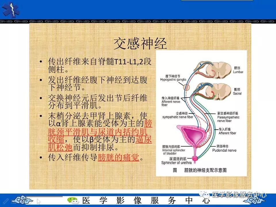 【PPT】圣诞树征