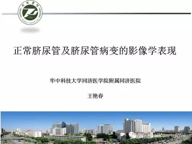 【PPT】正常脐尿管及脐尿管病变的影像学表现