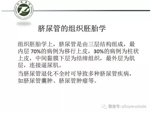 【PPT】正常脐尿管及脐尿管病变的影像学表现