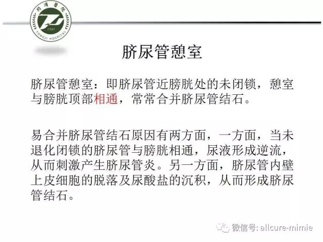 【PPT】正常脐尿管及脐尿管病变的影像学表现