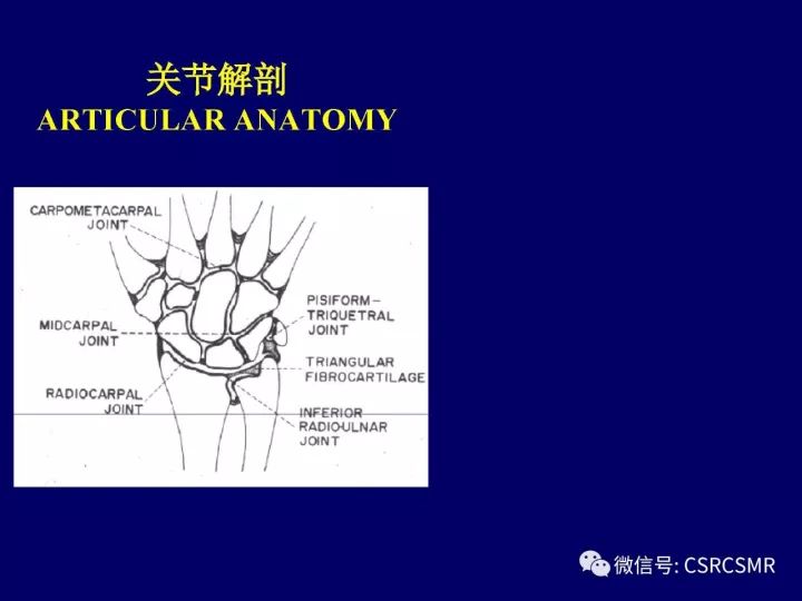 【PPT】腕关节韧带损伤的病理及影像学表现