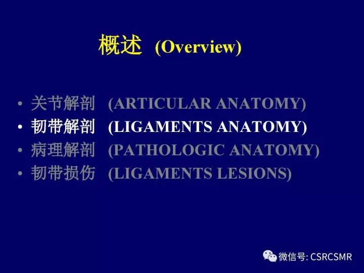 【PPT】腕关节韧带损伤的病理及影像学表现